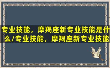 专业技能，摩羯座新专业技能是什么/专业技能，摩羯座新专业技能是什么-我的网站