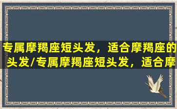 专属摩羯座短头发，适合摩羯座的头发/专属摩羯座短头发，适合摩羯座的头发-我的网站