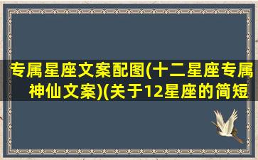 专属星座文案配图(十二星座专属神仙文案)(关于12星座的简短文案)