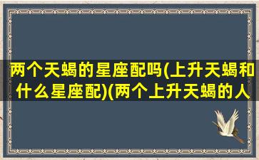 两个天蝎的星座配吗(上升天蝎和什么星座配)(两个上升天蝎的人在一起)