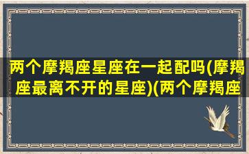 两个摩羯座星座在一起配吗(摩羯座最离不开的星座)(两个摩羯座在一起好吗)