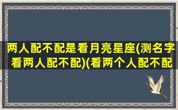 两人配不配是看月亮星座(测名字看两人配不配)(看两个人配不配看什么星座)