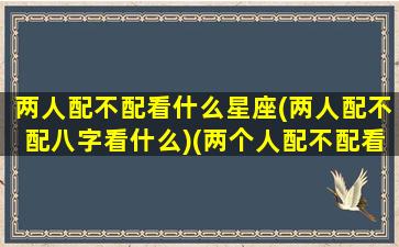 两人配不配看什么星座(两人配不配八字看什么)(两个人配不配看月亮星座)