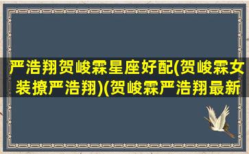 严浩翔贺峻霖星座好配(贺峻霖女装撩严浩翔)(贺峻霖严浩翔最新物料)