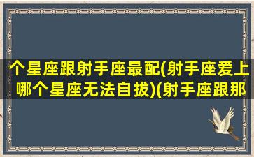 个星座跟射手座最配(射手座爱上哪个星座无法自拔)(射手座跟那个星座配对)