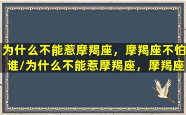 为什么不能惹摩羯座，摩羯座不怕谁/为什么不能惹摩羯座，摩羯座不怕谁-我的网站