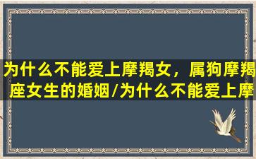 为什么不能爱上摩羯女，属狗摩羯座女生的婚姻/为什么不能爱上摩羯女，属狗摩羯座女生的婚姻-我的网站