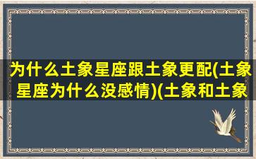 为什么土象星座跟土象更配(土象星座为什么没感情)(土象和土象星座)