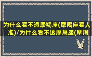 为什么看不透摩羯座(摩羯座看人准)/为什么看不透摩羯座(摩羯座看人准)-我的网站