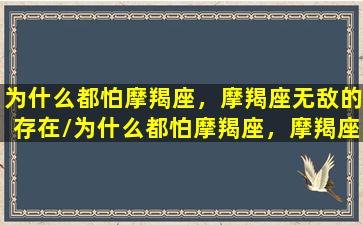 为什么都怕摩羯座，摩羯座无敌的存在/为什么都怕摩羯座，摩羯座无敌的存在-我的网站