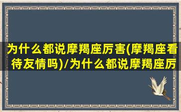 为什么都说摩羯座厉害(摩羯座看待友情吗)/为什么都说摩羯座厉害(摩羯座看待友情吗)-我的网站