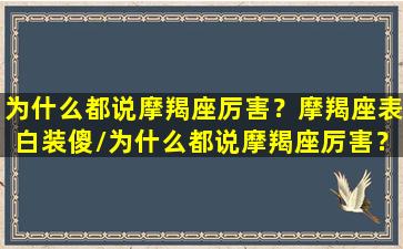 为什么都说摩羯座厉害？摩羯座表白装傻/为什么都说摩羯座厉害？摩羯座表白装傻-我的网站