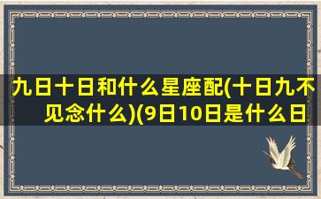 九日十日和什么星座配(十日九不见念什么)(9日10日是什么日子)