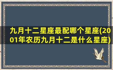 九月十二星座最配哪个星座(2001年农历九月十二是什么星座)(2001农历9月12日是什么星座)