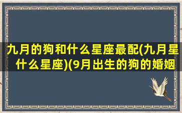 九月的狗和什么星座最配(九月星什么星座)(9月出生的狗的婚姻)