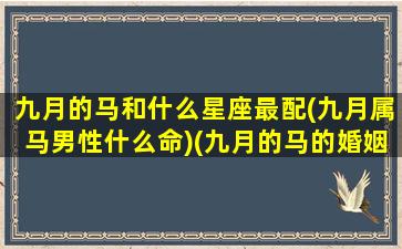 九月的马和什么星座最配(九月属马男性什么命)(九月的马的婚姻)