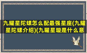 九耀星陀螺怎么配最强星座(九耀星陀螺介绍)(九曜星璇是什么意思)