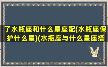 了水瓶座和什么星座配(水瓶座保护什么星)(水瓶座与什么星座搭配)