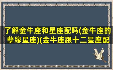 了解金牛座和星座配吗(金牛座的孽缘星座)(金牛座跟十二星座配对)