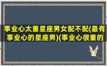 事业心太重星座男女配不配(最有事业心的星座男)(事业心很重的男人需要什么样的女人)