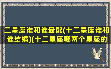 二星座谁和谁最配(十二星座谁和谁结婚)(十二星座哪两个星座的搭配几率高)