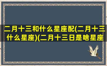 二月十三和什么星座配(二月十三什么星座)(二月十三日是啥星座)