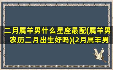 二月属羊男什么星座最配(属羊男农历二月出生好吗)(2月属羊男是暗犯吗)