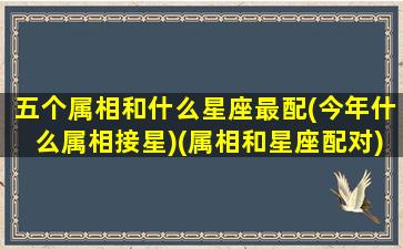 五个属相和什么星座最配(今年什么属相接星)(属相和星座配对)