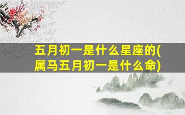 五月初一是什么星座的(属马五月初一是什么命)