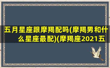 五月星座跟摩羯配吗(摩羯男和什么星座最配)(摩羯座2021五月份会和好么)