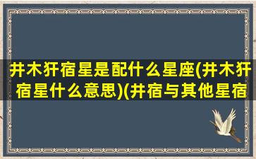 井木犴宿星是配什么星座(井木犴宿星什么意思)(井宿与其他星宿的相生相克)