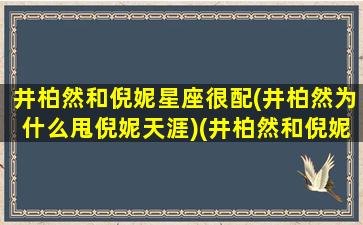 井柏然和倪妮星座很配(井柏然为什么甩倪妮天涯)(井柏然和倪妮什么时候公开在一起的)