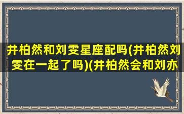 井柏然和刘雯星座配吗(井柏然刘雯在一起了吗)(井柏然会和刘亦菲结婚吗)