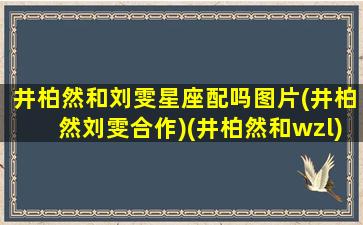 井柏然和刘雯星座配吗图片(井柏然刘雯合作)(井柏然和wzl)