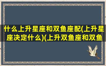 什么上升星座和双鱼座配(上升星座决定什么)(上升双鱼座和双鱼座什么区别)