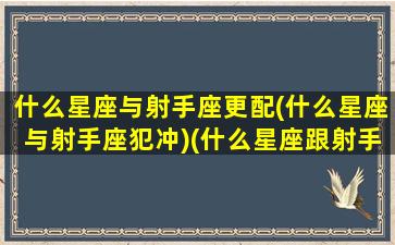 什么星座与射手座更配(什么星座与射手座犯冲)(什么星座跟射手座配)