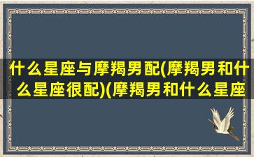 什么星座与摩羯男配(摩羯男和什么星座很配)(摩羯男和什么星座最配对指数)