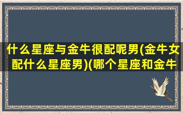 什么星座与金牛很配呢男(金牛女配什么星座男)(哪个星座和金牛座男最配)