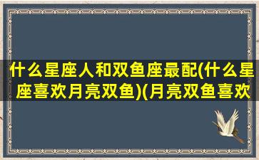 什么星座人和双鱼座最配(什么星座喜欢月亮双鱼)(月亮双鱼喜欢类型)