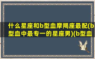 什么星座和b型血摩羯座最配(b型血中最专一的星座男)(b型血摩羯座男生性格特点)