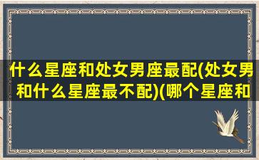 什么星座和处女男座最配(处女男和什么星座最不配)(哪个星座和处女座男生最般配)