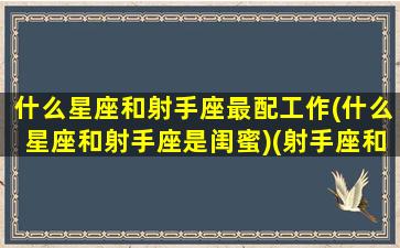 什么星座和射手座最配工作(什么星座和射手座是闺蜜)(射手座和什么星座合作事业好)