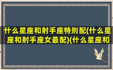 什么星座和射手座特别配(什么星座和射手座女最配)(什么星座和射手座相配)