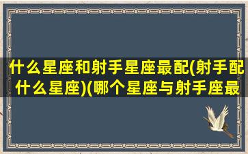 什么星座和射手星座最配(射手配什么星座)(哪个星座与射手座最配)