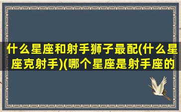 什么星座和射手狮子最配(什么星座克射手)(哪个星座是射手座的克星)