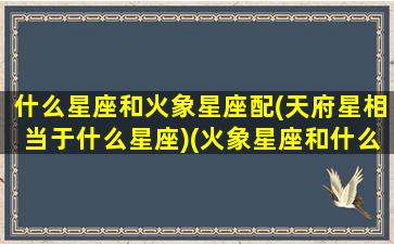 什么星座和火象星座配(天府星相当于什么星座)(火象星座和什么象星座最配)