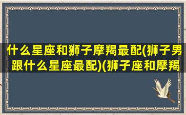 什么星座和狮子摩羯最配(狮子男跟什么星座最配)(狮子座和摩羯座在一起的明星)