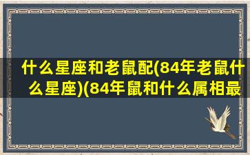 什么星座和老鼠配(84年老鼠什么星座)(84年鼠和什么属相最配最合适呢)