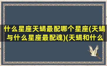 什么星座天蝎最配哪个星座(天蝎与什么星座最配魂)(天蝎和什么星座是绝配)