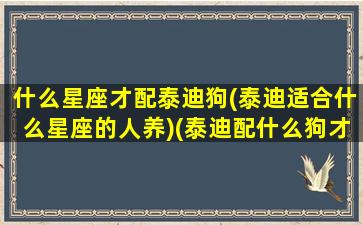 什么星座才配泰迪狗(泰迪适合什么星座的人养)(泰迪配什么狗才能生出巨贵)